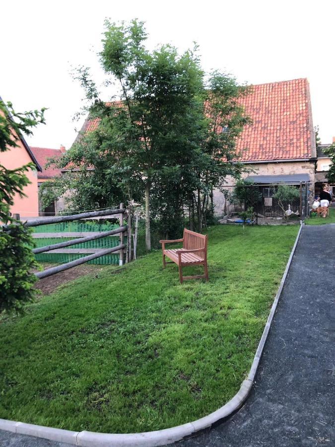 Ferienwohnung Gans Auguste Dohna Exterior foto