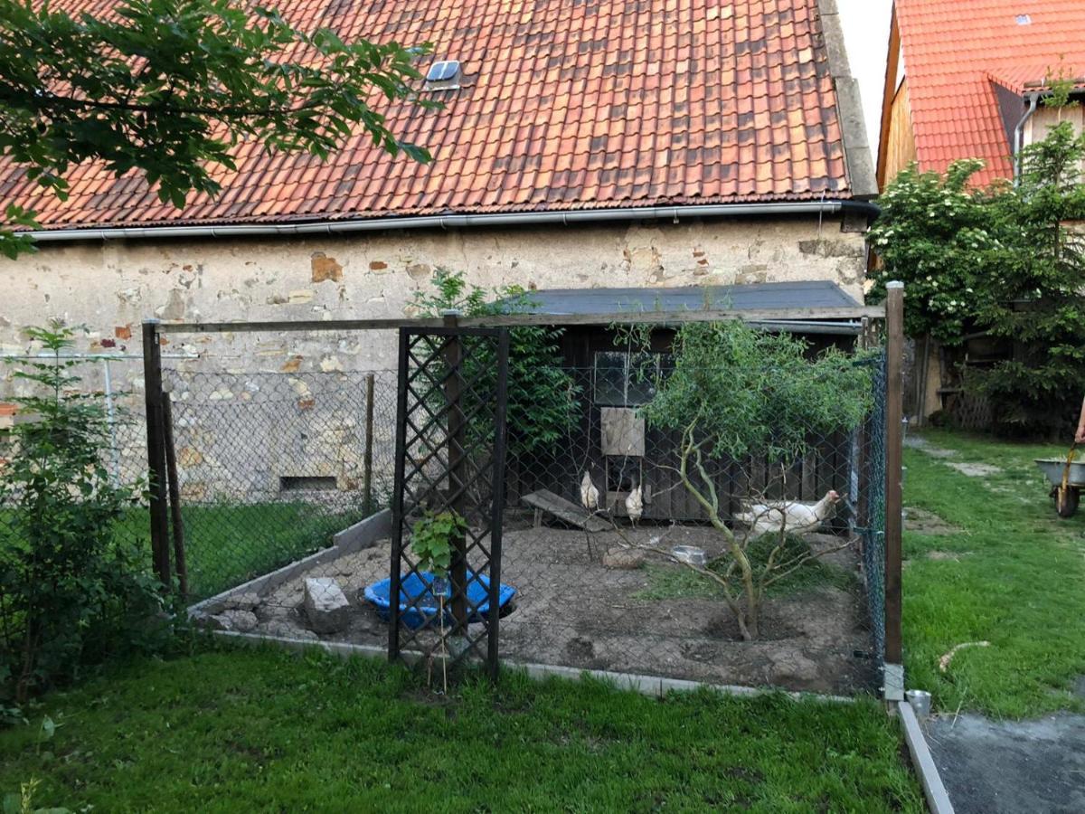 Ferienwohnung Gans Auguste Dohna Exterior foto